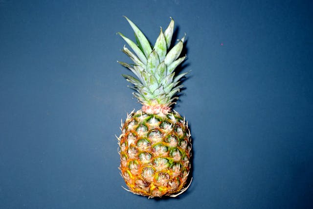 Growing Exotic Treasures: The Coffee Plant and Pineapple Tree